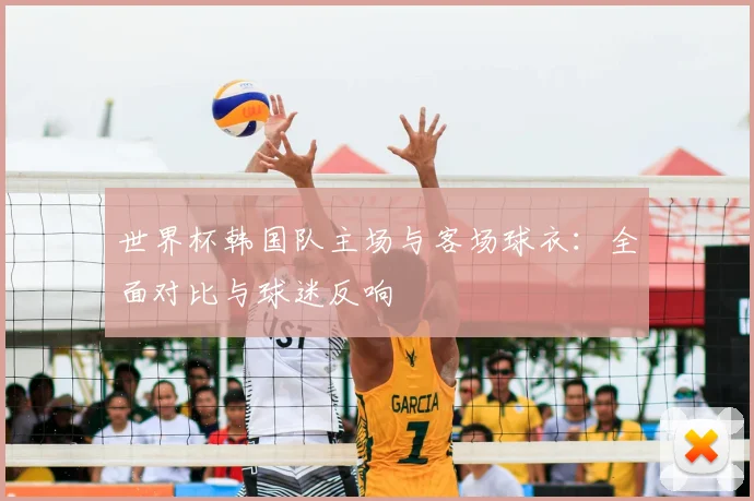 世界杯韩国队主场与客场球衣：全面对比与球迷反响