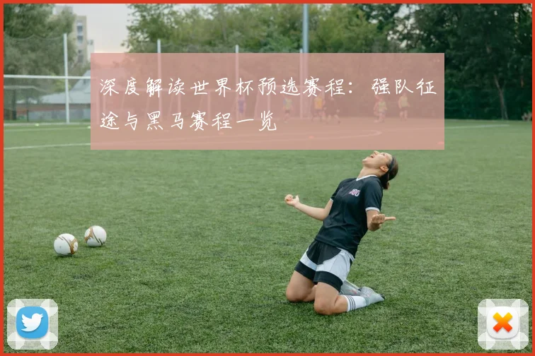 深度解读世界杯预选赛程：强队征途与黑马赛程一览