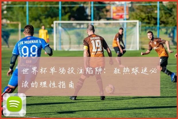 世界杯单场投注陷阱：狂热球迷必读的理性指南
