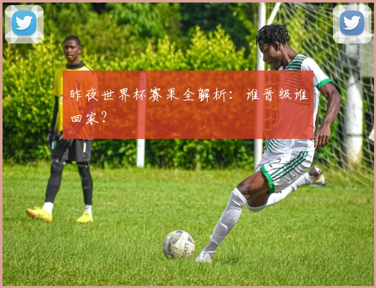 昨夜世界杯赛果全解析：谁晋级谁回家？