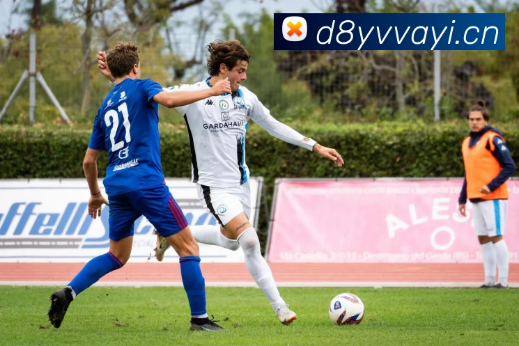 星空体育综合链接APP 封面图